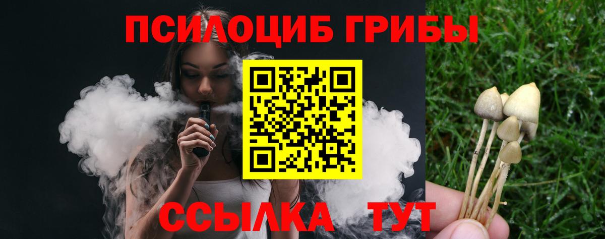 Галлюциногенные грибы мухоморы  Вход с VPN  Сосновоборск  Псилоцибиновые грибы мицелий 